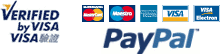 visa-paypal֧